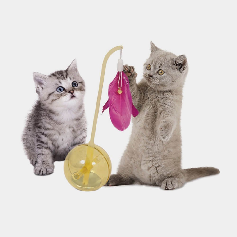 Royal Canin Exigent Cats